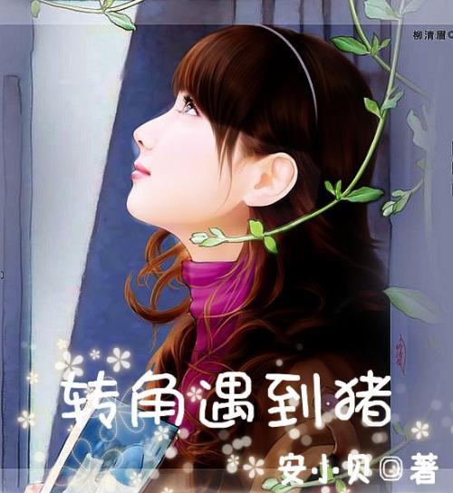 22款汉兰达电瓶出风口在哪里游戏画面
